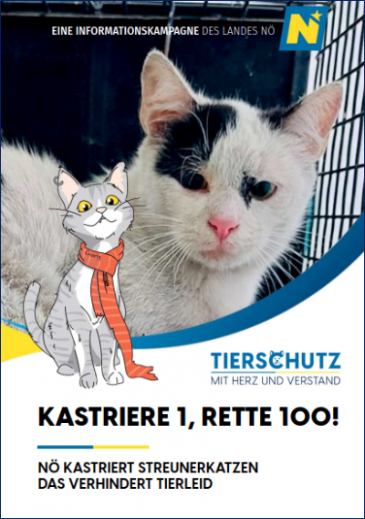 Sujet: Cover Streunerkatzen. Text: Kastriere 1, rette 100!