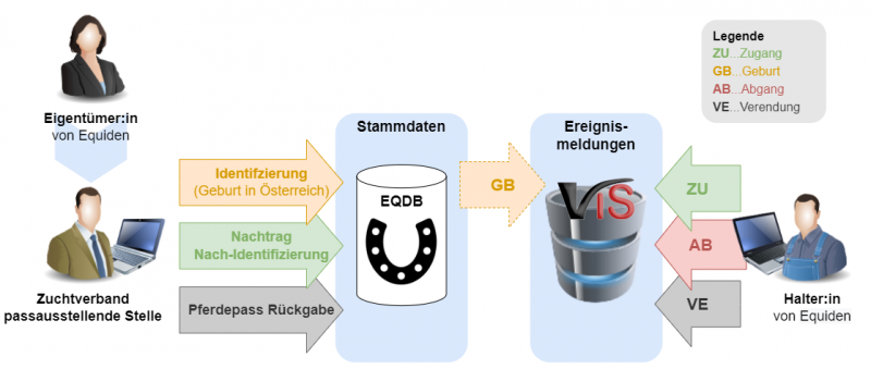 Diagramm zur VIS Anmeldung